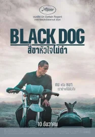 ดูหนังออนไลน์ฟรี สี่ขาหัวใจไม่ดำ Black Dog (2024)